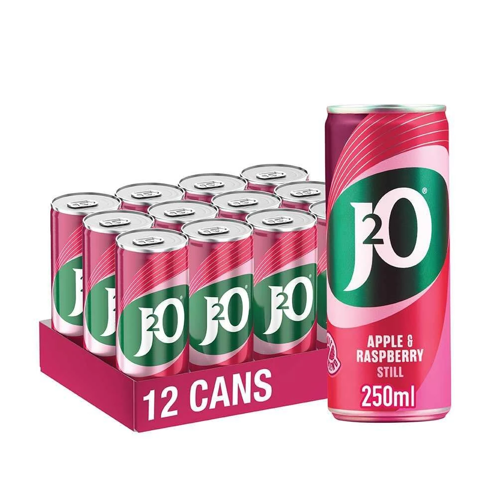 J2O Fruit Juice, Apple and Raspberry, 250ml Cans (Pack of 12)