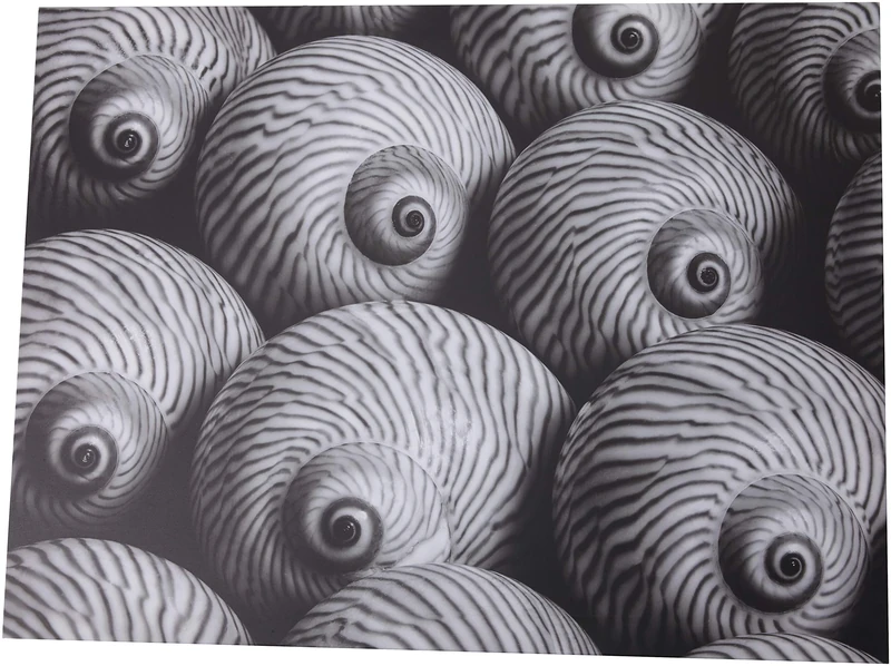 Dennis Frates (Striped Moon 60 x 80cm Canvas