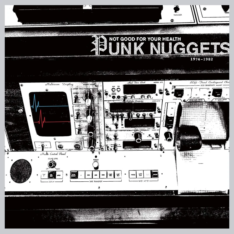 Not Good For Your Health: Punk Nuggets 1972-1982 [VINYL]
