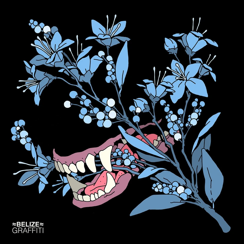 Graffitti [VINYL]