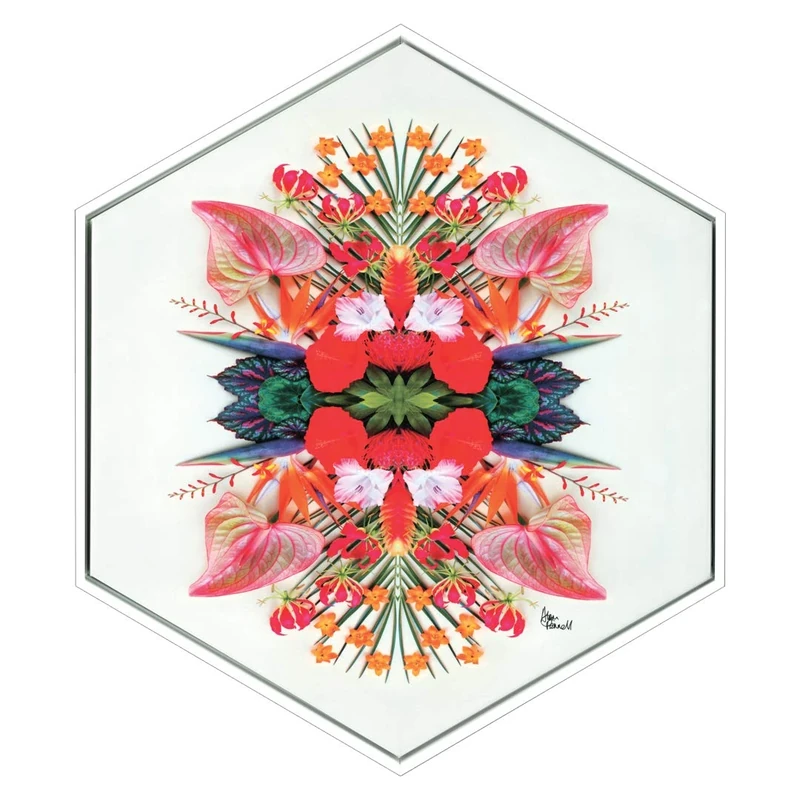 Alyson Fennell (Tropical Symmetry 60 x 50cm Signature Collection