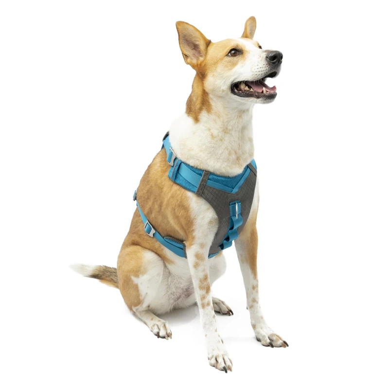 Kurgo Journey Air Dog Harness - Secure Fit for Active Dogs - Padded Chest - Lightweight Ripstop Fabric - Breathable Mesh - Reflective Trim - Back Assist Handle - Blue - X-Large - Image 1