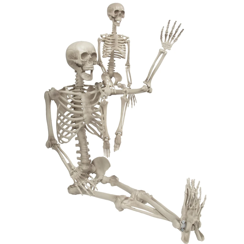 Halloween Life Size Skeleton Value 2 Pack -Adult (5' 4") & Child (2') Weather Resistant Yard Fall Decorations-Graveyard Prop for Haunted House Party Decor and Indoor/Outdoor Use, School Classroom Use
