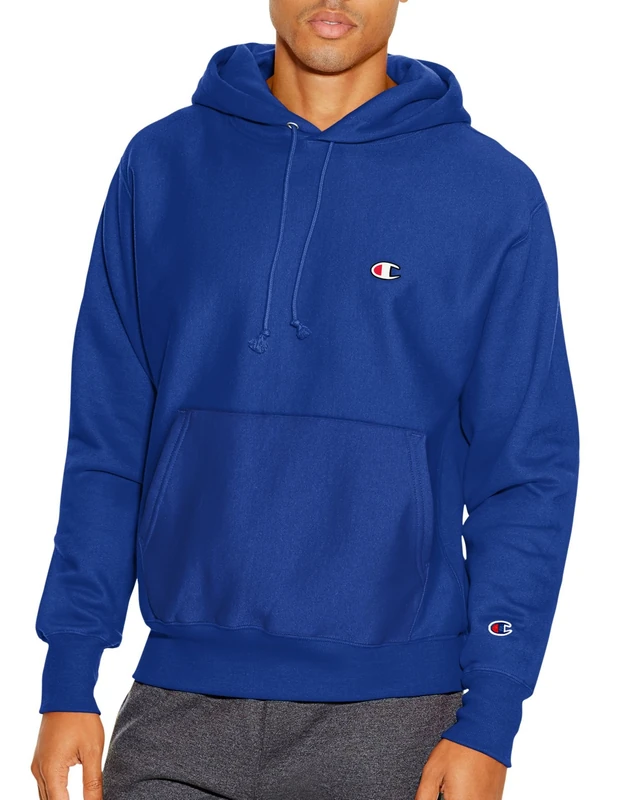 Champion Men's Graphic Powerblend Fleece Pullover Hood Sweatshirt, Surf The Web Script, XL