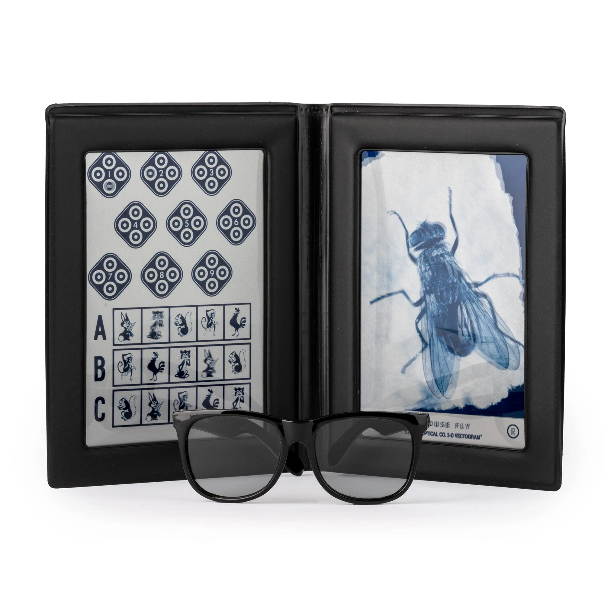 Precision Vision Stereo Fly Test - SO001