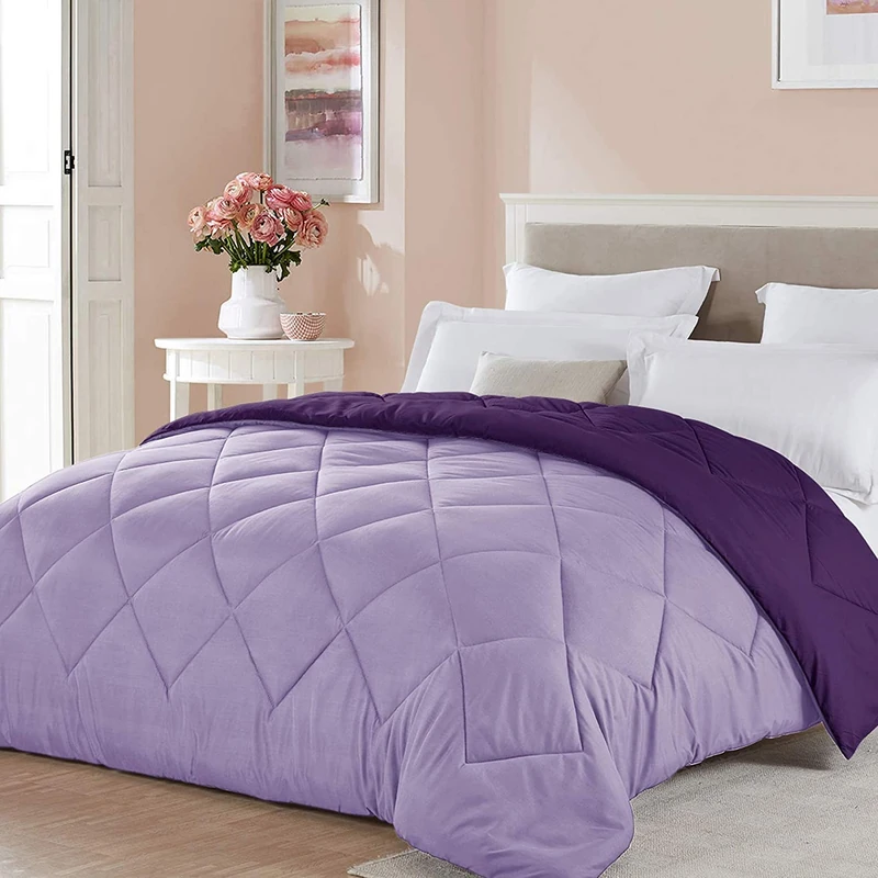 Seward Park Full/Queen Size Reversible Comforter Kids Thanksgiving Gift Lightweight Microfiber Fill Girls Bedding All Season Fall Warm Bedspread Blanket Lavender Plum/Light Dark Purple
