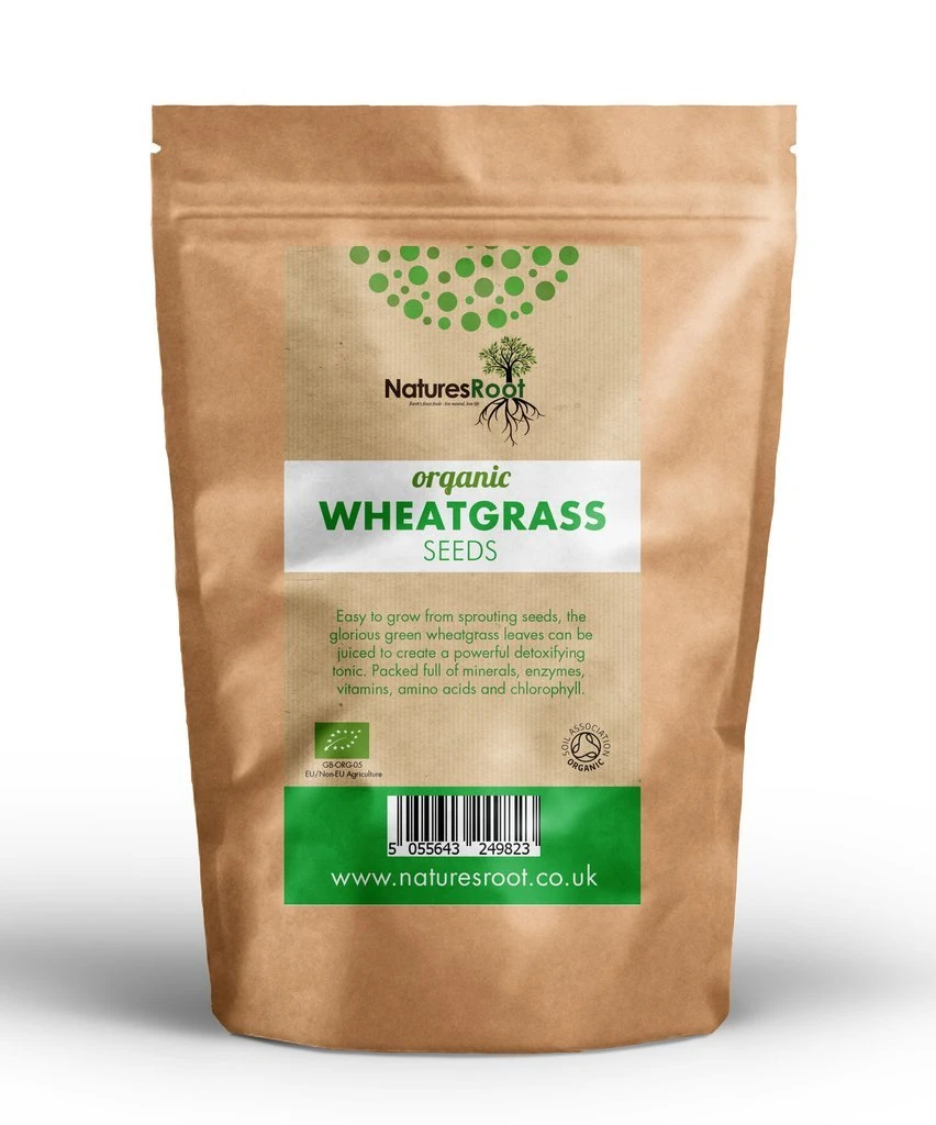 Natures Root Organic Wheatgrass Sprouting Seeds 500g - Superfood | Non GMO | Microgreen Sprouts | Garden Planting | Wheat Grass Juicing | Cat Grass