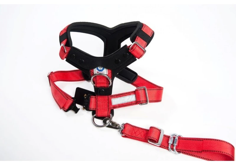 Kleinmetall 15390300 Dog Safety Belts