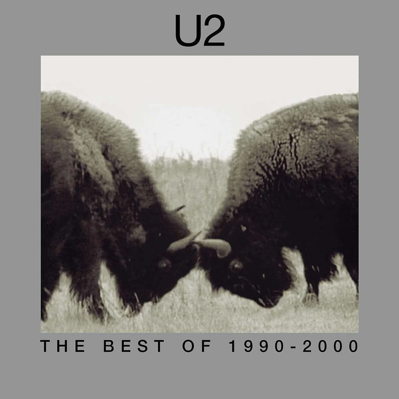 Best Of 1990-2000 [VINYL]