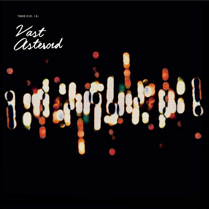 Vast Asteroid [VINYL]