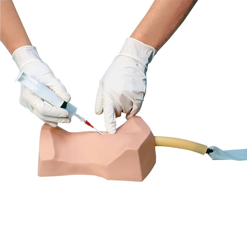 Nasco W44775 Advanced Cricotomy - Image 1