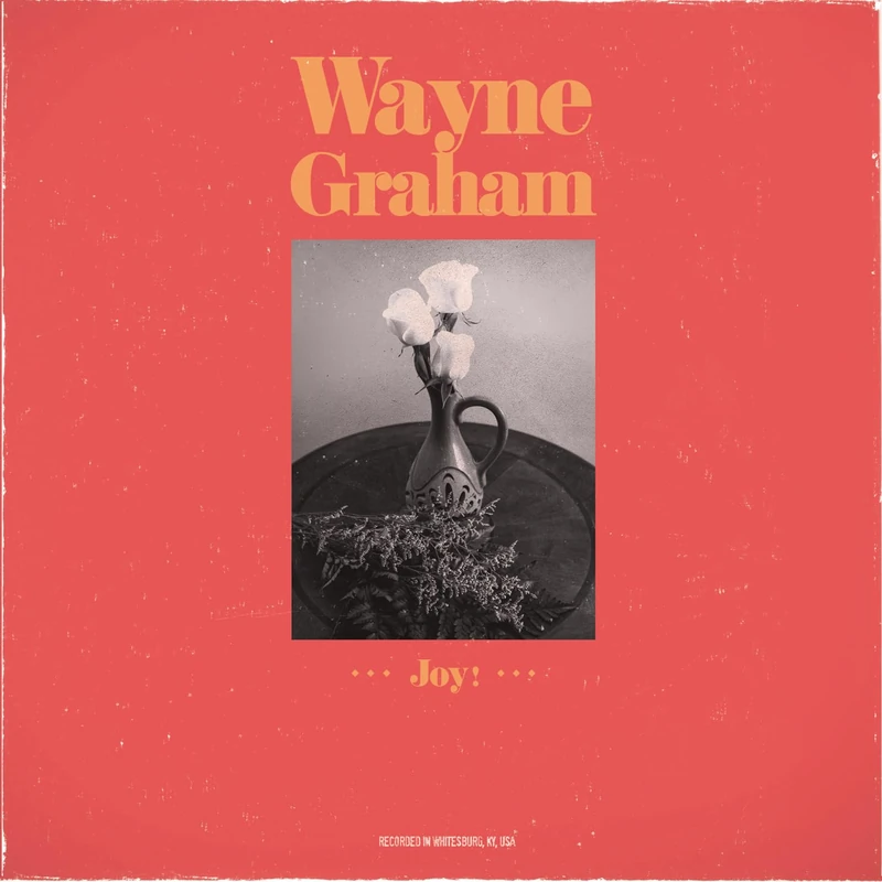 Joy [VINYL] - Image 1