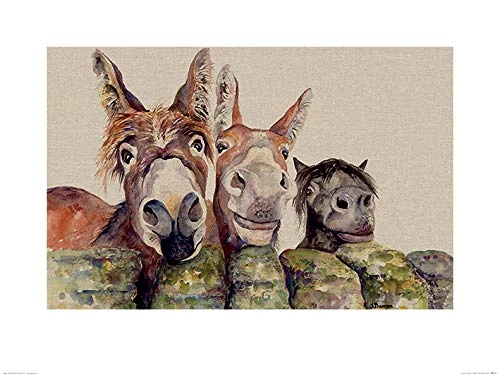 Jane Bannon (Johnny, Freckles & Halfpint 60 x 80cm Art Print