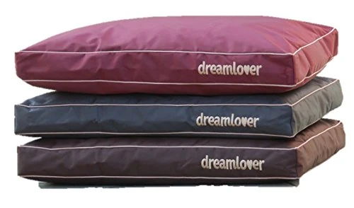 Dreamlover Premium Cot Black-ANTRAC. M 65X50X26CM (Cover)