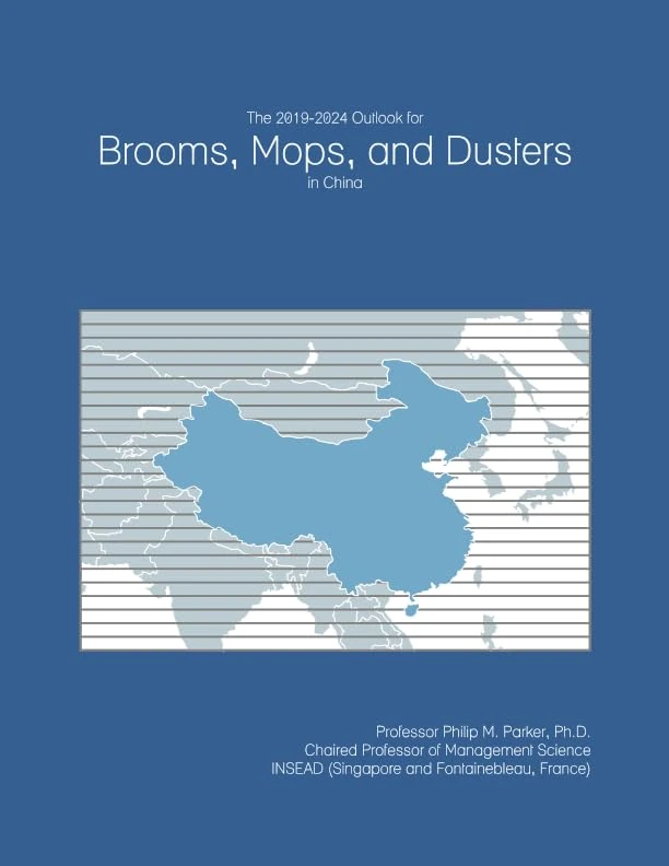 The 2019-2024 Outlook for Brooms, Mops, and Dusters in China