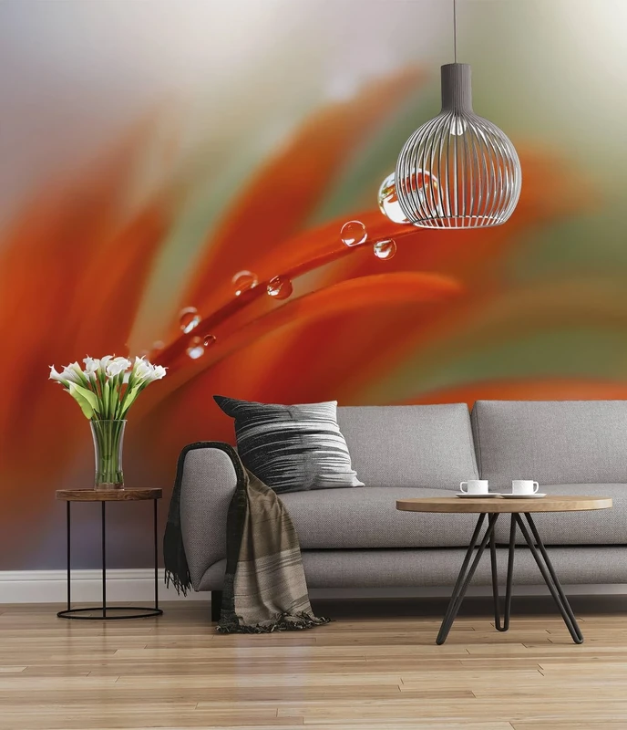 Komar 167-DV3 Photomural, Colourful, 300 x 250 cm (Breite x Höhe)