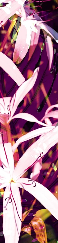 Scenolia LAVIS FLEURI Single Wall Paper 60 x 240 cm Quality