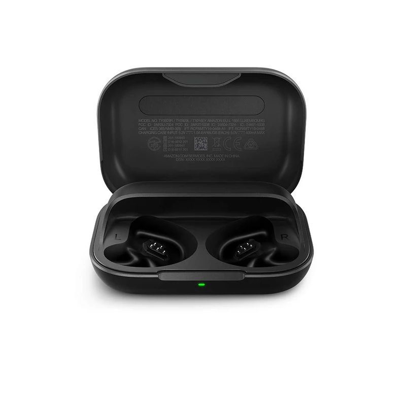 Echo Buds Charging Case