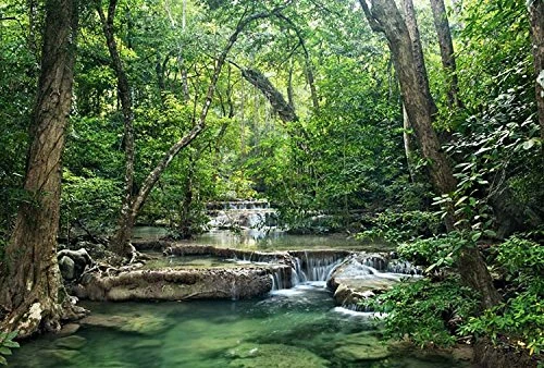 Scenolia Decorative Tapestry Poster 3 x 2.70 m La Ferret D'Emeraude (The Forest of Emes) XXL