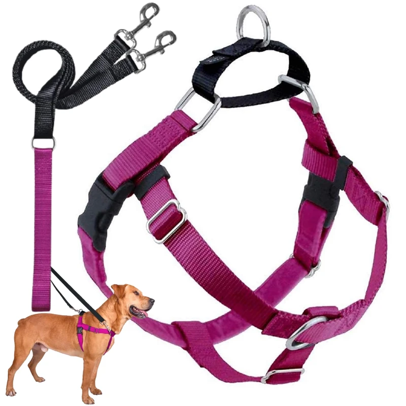 2 Hounds Design Freedom No Pull Dog Harness | Adjustable Gentle Comfortable Control for Easy Dog Walking |for Small Medium and Large Dogs | Made in USA | Leash Included | 1" LG Raspberry
