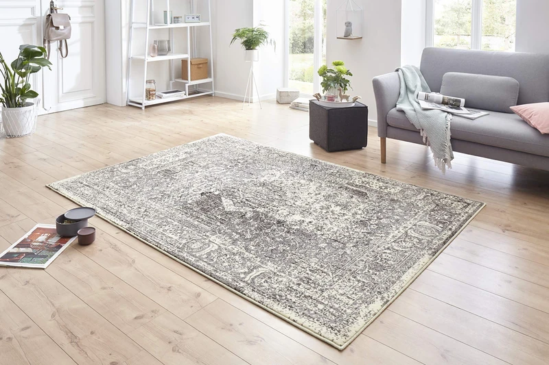 Hanse Home Plume Rug - Distressed Look Short Pile Modern Vintage Design Rugs for Dining Room, Living Room, Children's Room, Hallway, Bedroom, Kitchen - Grey Cream 120 x 170 cm. / 47.24
