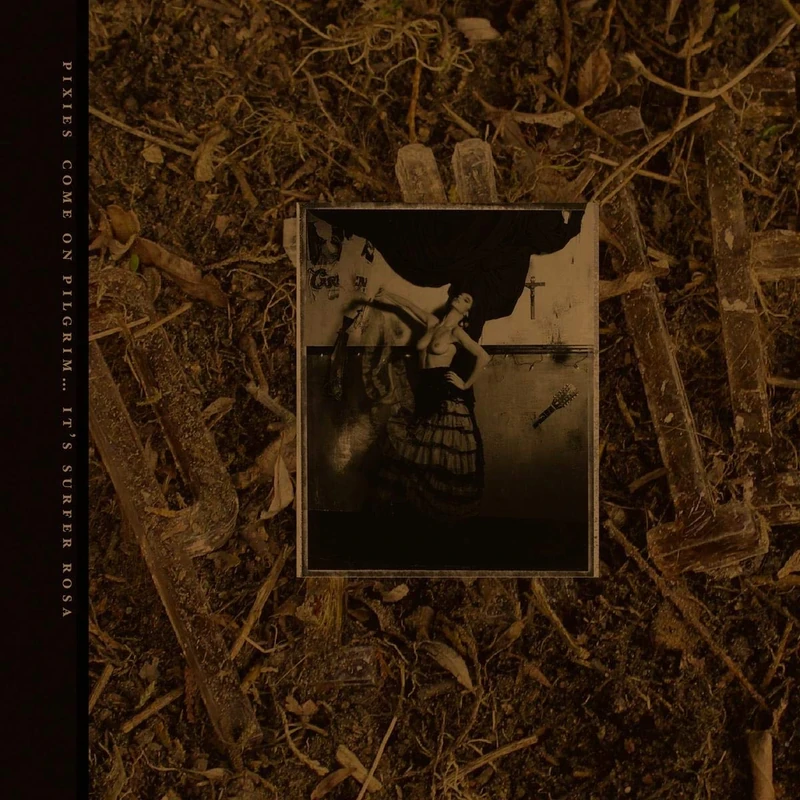 Come On Pilgrim... It's Surfer Rosa [VINYL] - Image 1