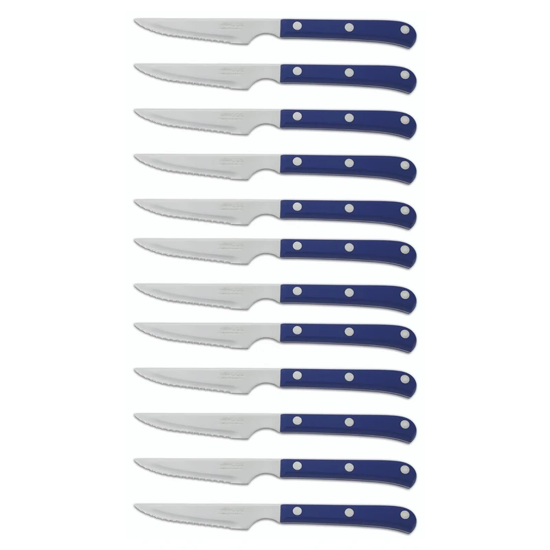 Arcos Table Knives - Box 12 Pieces Steak Knife Table Knife - Blade Nitrum Stainless Steel 115 mm (4.53 Inch) - Handle Polyoxymethylene (POM) Blue Colour (12 Piece)