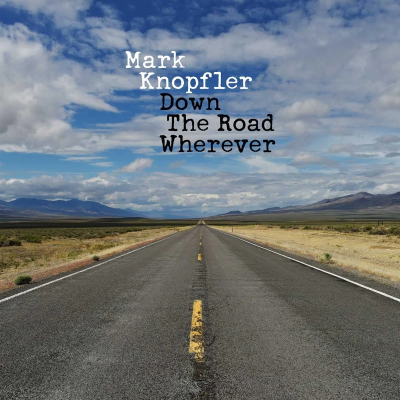 Down The Road Wherever [VINYL]