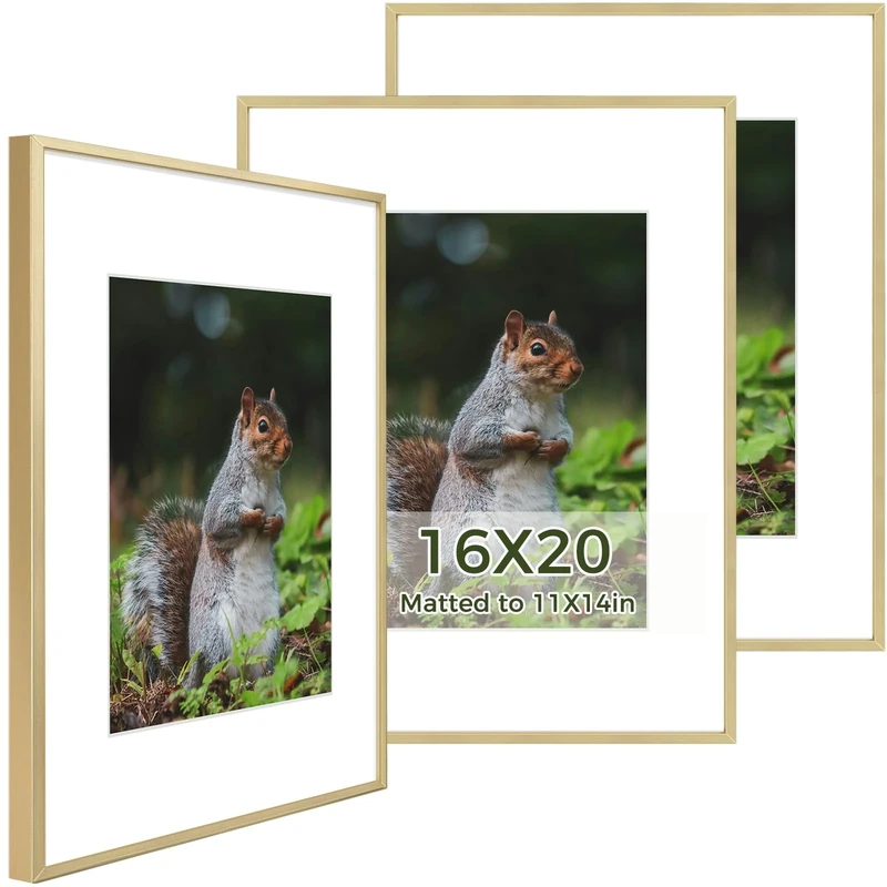 Golden State Art, 16x20 Aluminum Metal Frame with Ivory Mat for 11x14 Pictures, Includes with Sawtooth Hangers and Spring Clips - Wall Mounting - Real Glass (Gold, 3 Pack)