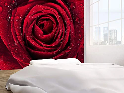 vgoltd Beautiful red Rose with rain Drops Photo Wallpaper Wall Mural (6350196) Floral (220gsm Premium, XL 190cm Wide x 148cm high)