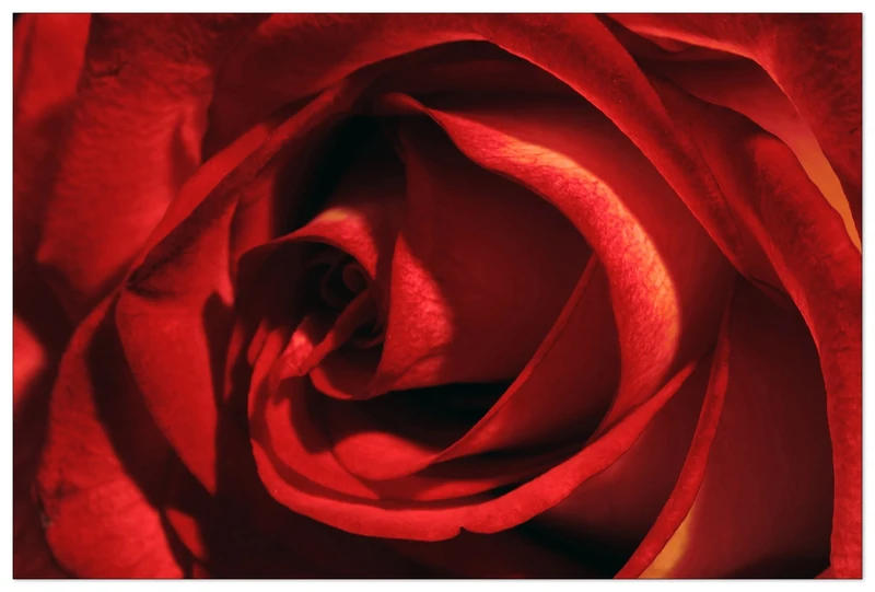 Artopweb Decorative Panel, Multicolour, 90x60 Cm
