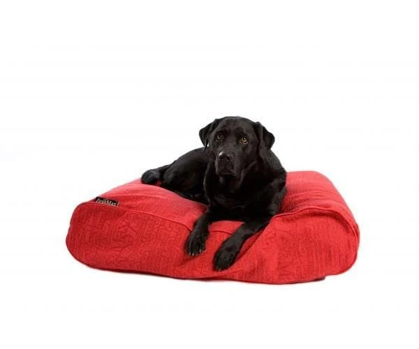 Lex & Max COVER BEANBAG CHIC 100X70 RED