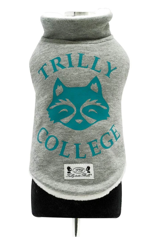 Trilly Tutti Brilli Mauger Sweatshirt with Plush interior and Thermal Vinyl Application, Light Blue, 2X-Small