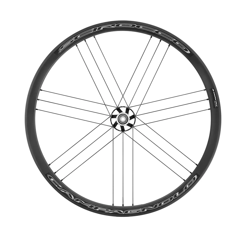 Campagnolo Scirocco Db Wheel Tyre Bright Label, 28"