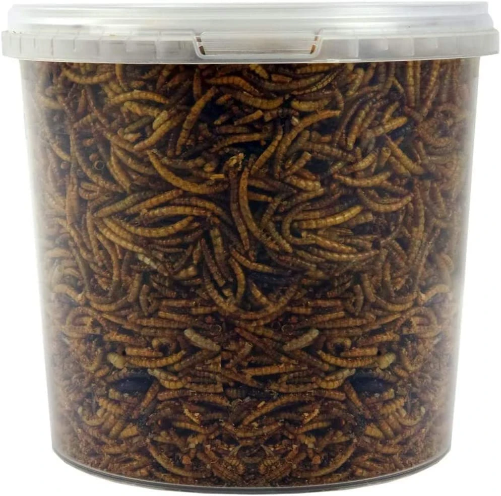 SQUAWK Dried Mealworms | Premium Garden Wild Bird Food Mix Balanced Formula | Protein-Rich, Great Source of Energy | Contains Beneficial Mixed Vitamins | Large Variety (5L Tub)