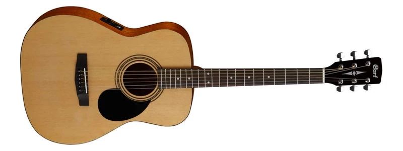 Electric Acoustic Guitar