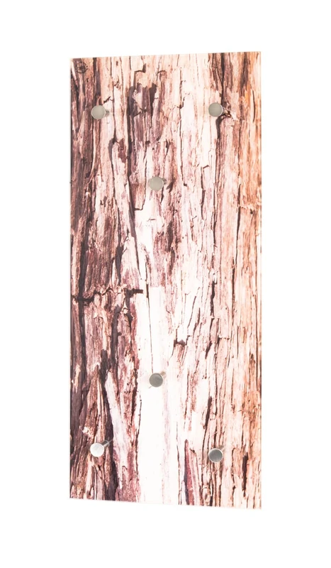 HAKU Mobel Wardrobe Stainless Steel Look, Motif, Metal, Tempered Glass - Size: W 30 cm X H 70 cm X D 5 cm, Style: Modern