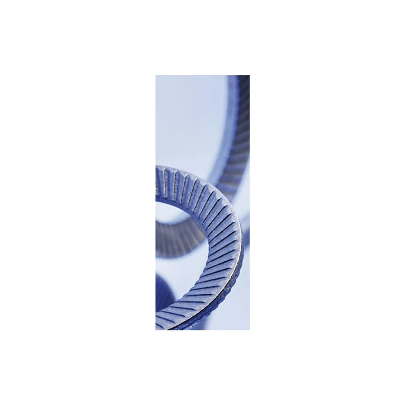 SCHNORR 881200140300000 Locking Disc S M30 Spring Steel Mechanically Galvanised Silver - Image 1