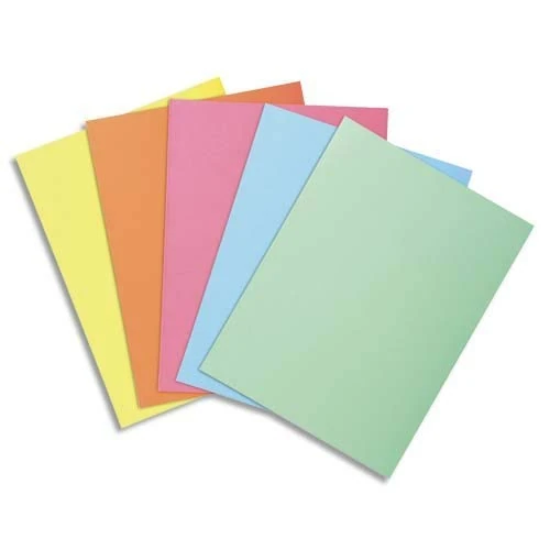 Exacompta - Ref 850100E - Box of 10 Packs of 100 Super 60 g/m2 Pastel Coloured folders - PEFC Certified folders - Size 22 x 31 cm for A4 Format - 5 Assorted Colours