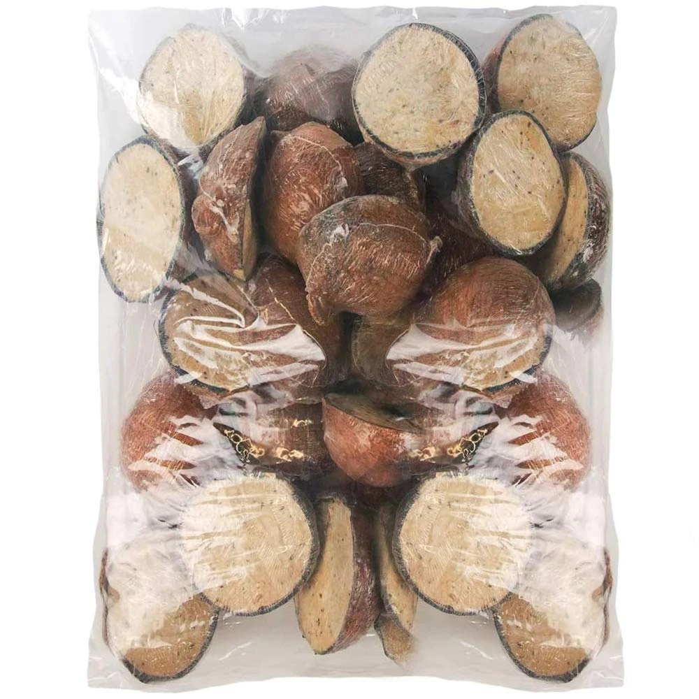 SQUAWK Suet Filled Coconut Halves | Premium Wild Bird Food | Protein-Rich, High Energy Feed | Sunflower Seeds and Cereal Oat | Healthy & Strong Development for Birds | Year-Round Feeding (10 Pack)