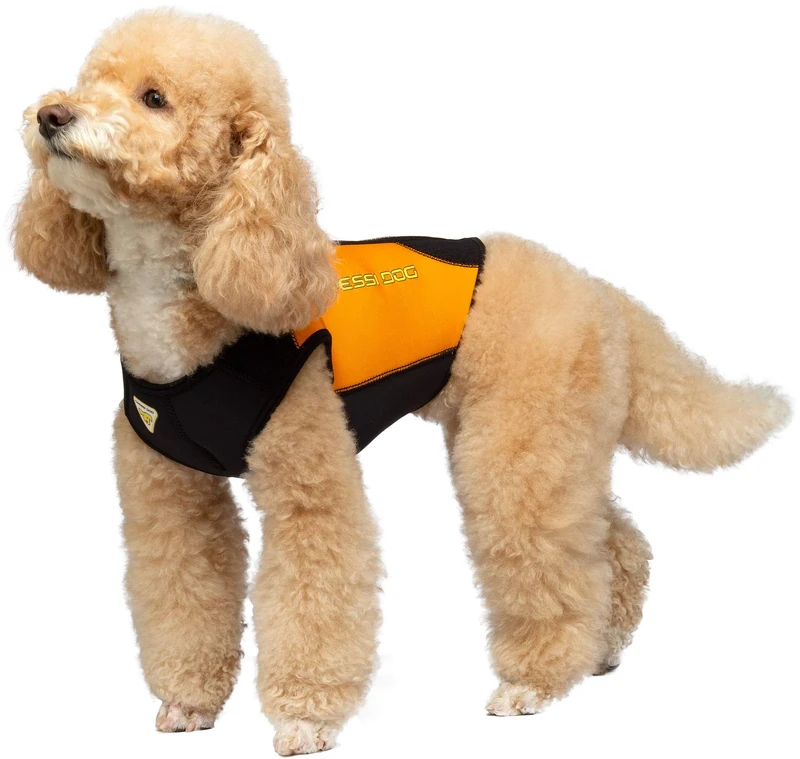 Cressi Dog unisex-adult qqqqq q, large