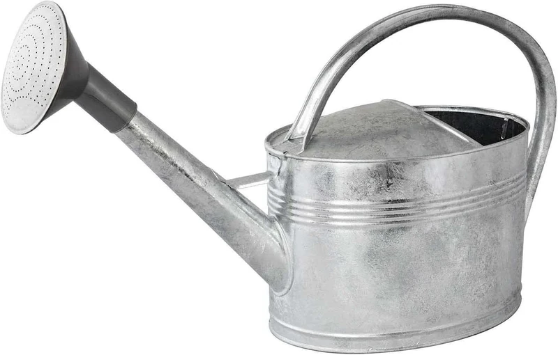10L Watering Can + Watering Can