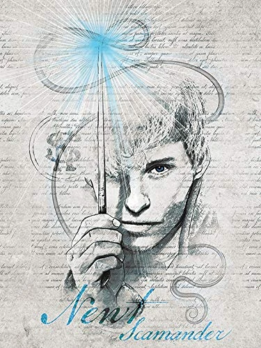 Fantastic Beasts The Crimes Of Grindelwald (Newt Scamander) Canvas Print