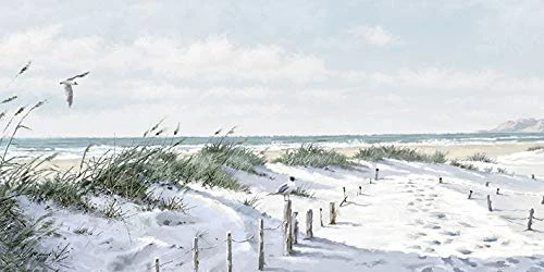 Richard Macneil (Footpath to the Beach Canvas Print