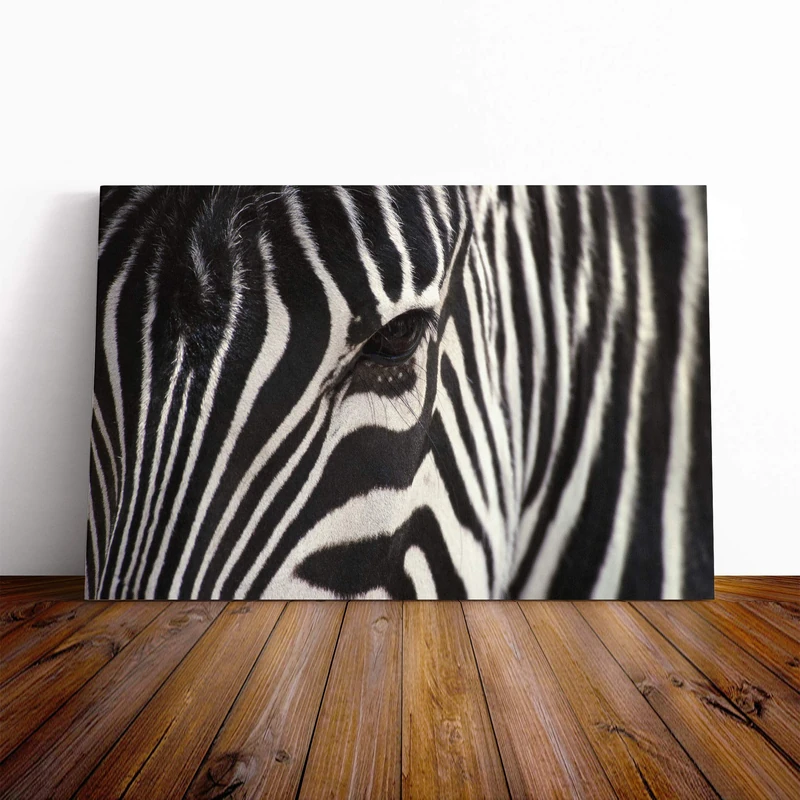 Big Box Art Canvas Print Wall Art Zebra (4) | Mounted and Stretched Box Frame Picture | Home Decor for Kitchen, Living, Dining Room, Bedroom, Hallway, Multi-Colour, 20x14 Inch