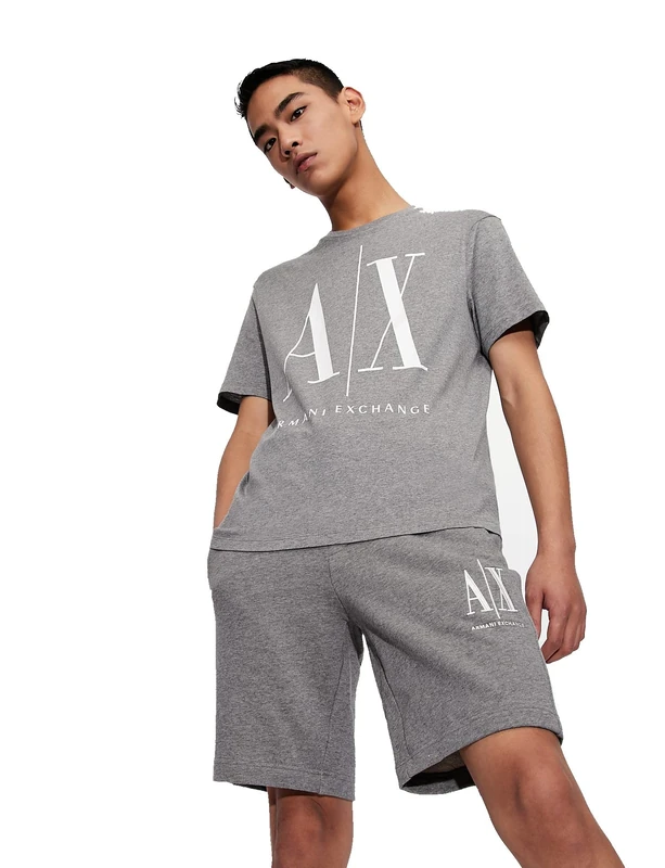 Armani Exchange Men's Logo Icon Tee T-Shirt, Grey (Bc09 3930), X-Large