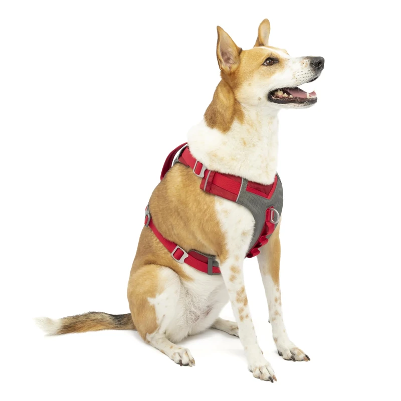 Kurgo Journey Air Harness, Dog Harness for Running and Walking, Lightweight, Breathable, Extra Large-Red