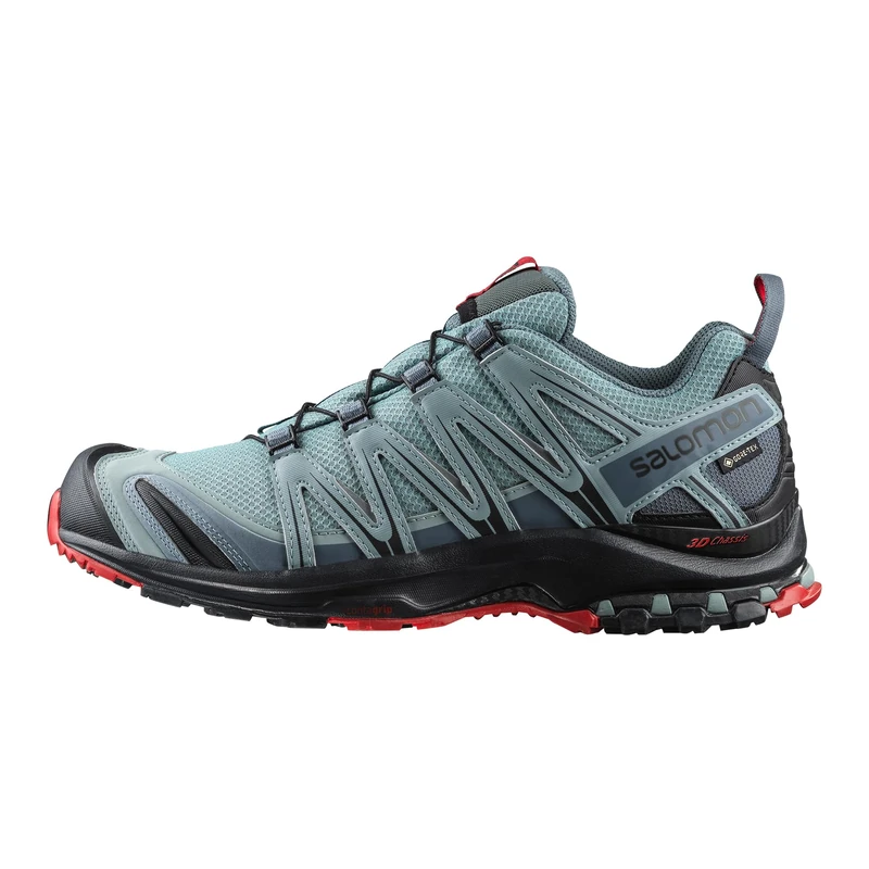 Salomon XA PRO 3D GTX, Men’s Trail Running Shoes, Grey (Lead/Black/Barbados Cherry Lead/Black/Barbados Cherry), 7.5 (41 1/3 EU)