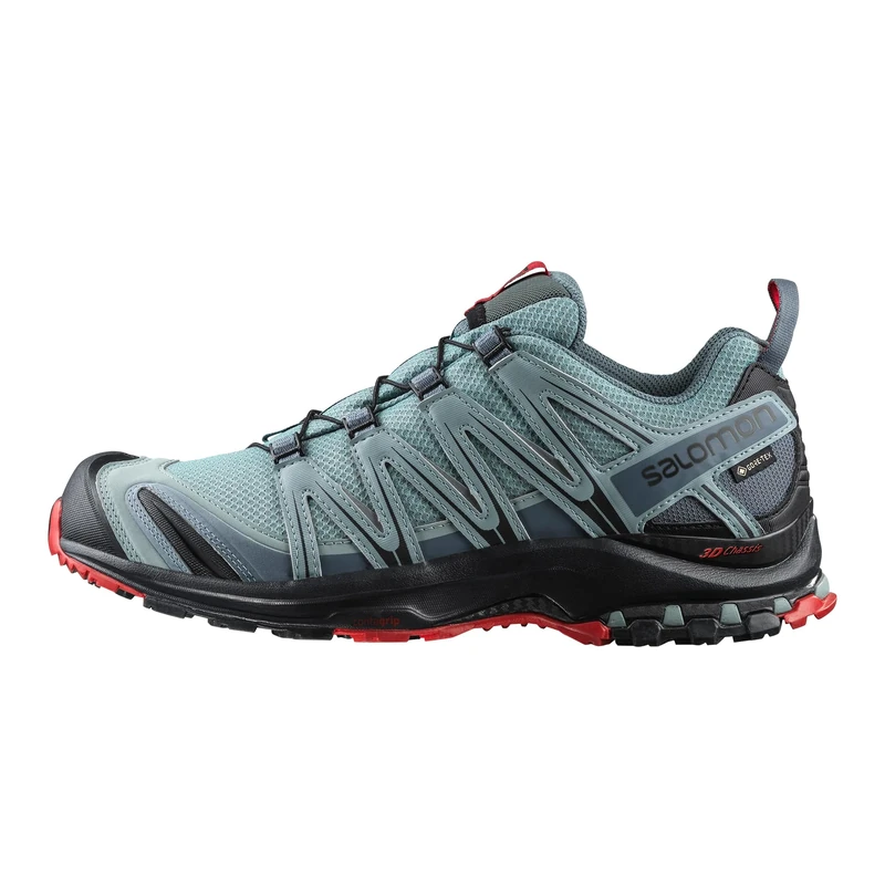 Salomon XA PRO 3D GTX, Men’s Trail Running Shoes, Grey (Lead/Black/Barbados Cherry Lead/Black/Barbados Cherry), 8 (42 EU)