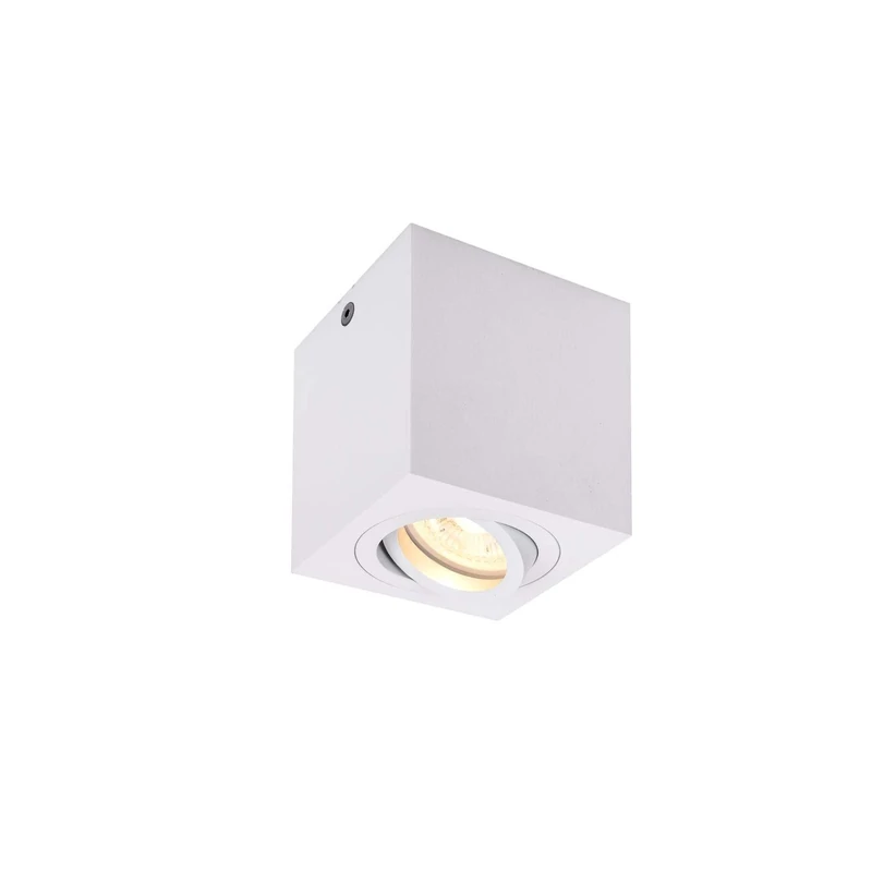 SLV Ceiling-Mounted Light TRILEDO Single/spot, floodlight, Ceiling Spotlight, Ceiling Light, Surface-Mounted Light, Indoor Lighting / GU10 10W White